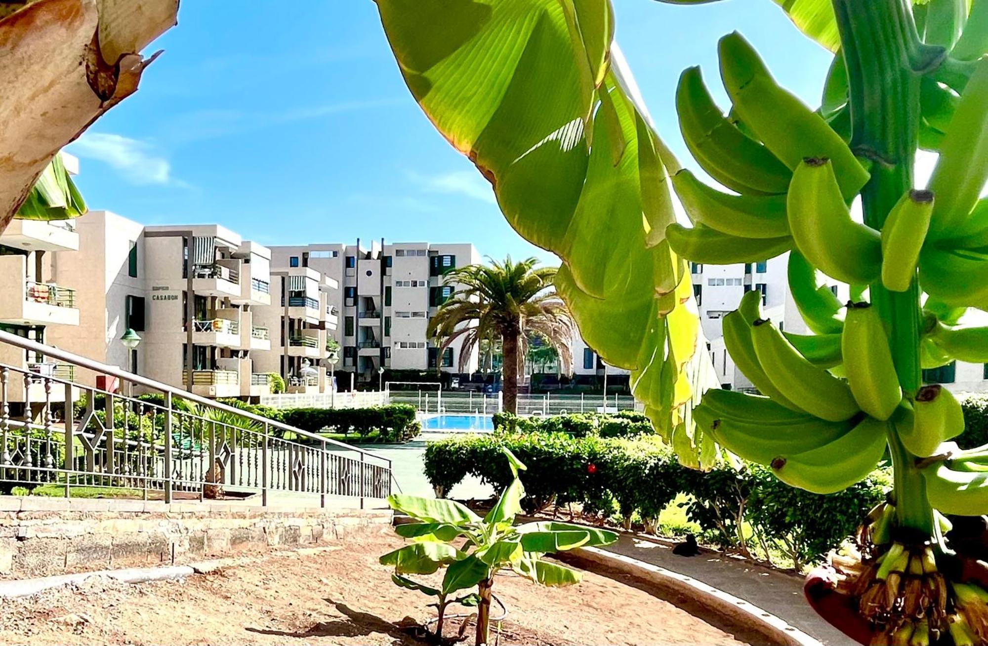 Las Vinas Apartment Playa de las Americas  Luaran gambar